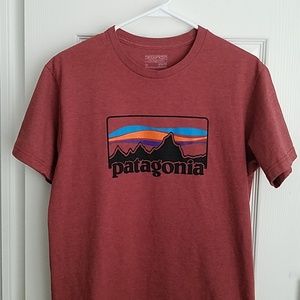 Patagonia Slim Fit T-shirt, Medium